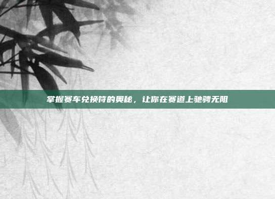 掌握赛车兑换符的奥秘，让你在赛道上驰骋无阻