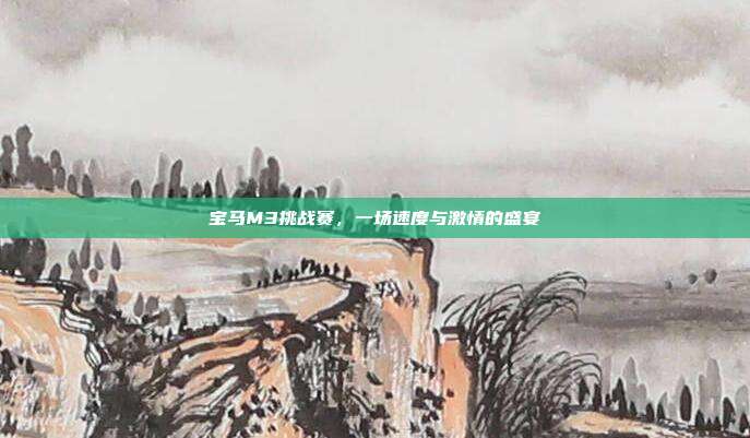 宝马M3挑战赛，一场速度与激情的盛宴