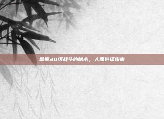 掌握30级战斗的秘密，人偶选择指南