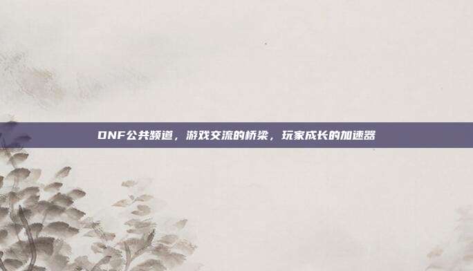 DNF公共频道，游戏交流的桥梁，玩家成长的加速器