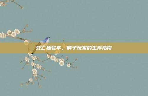 死亡独轮车，胖子玩家的生存指南