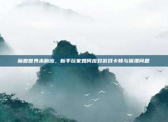 魔兽世界未响应,新手玩家如何应对游戏卡顿与崩溃问题