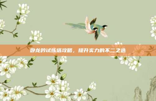 卧龙吟试练塔攻略,提升实力的不二之选