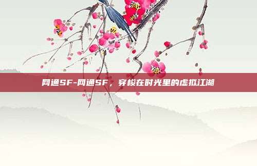 网通SF-网通SF，穿梭在时光里的虚拟江湖