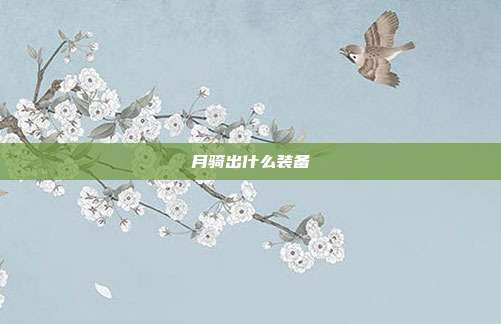 月骑出什么装备