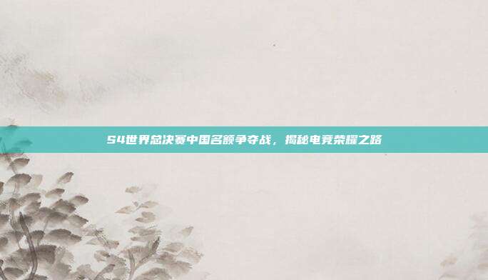 S4世界总决赛中国名额争夺战,揭秘电竞荣耀之路