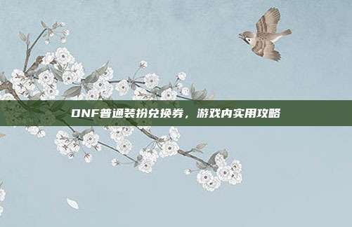 DNF普通装扮兑换券,游戏内实用攻略