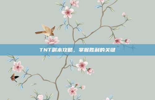 TNT副本攻略,掌握胜利的关键