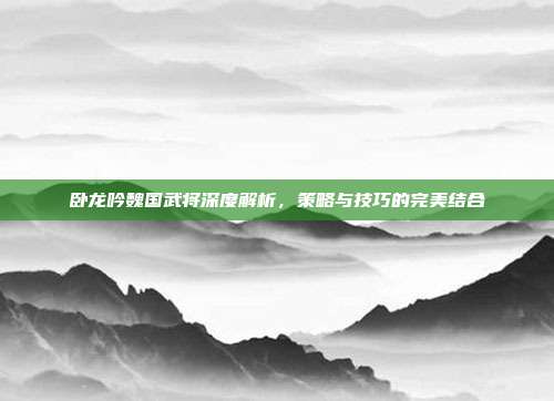 卧龙吟魏国武将深度解析，策略与技巧的完美结合