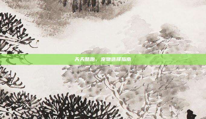 天天酷跑，宠物选择指南
