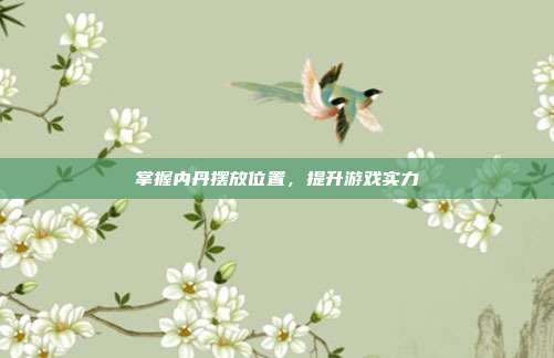 掌握内丹摆放位置，提升游戏实力