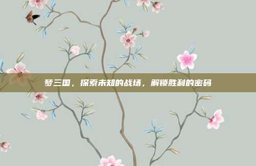 梦三国，探索未知的战场，解锁胜利的密码