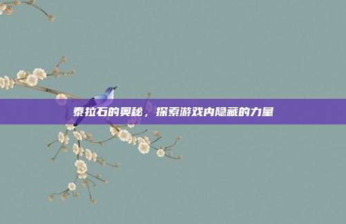泰拉石的奥秘,探索游戏内隐藏的力量