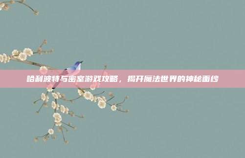 哈利波特与密室游戏攻略，揭开魔法世界的神秘面纱