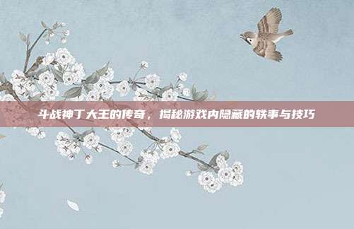 斗战神丁大王的传奇,揭秘游戏内隐藏的轶事与技巧
