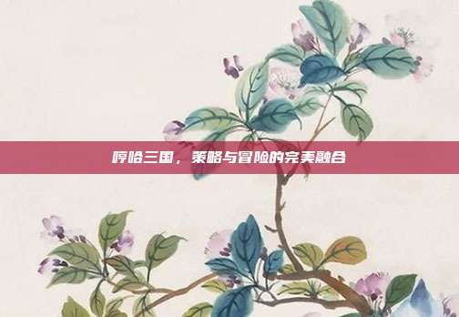 哼哈三国，策略与冒险的完美融合