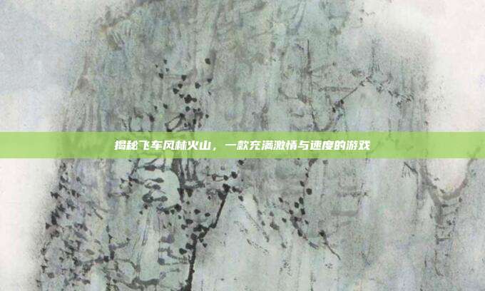 揭秘飞车风林火山，一款充满激情与速度的游戏