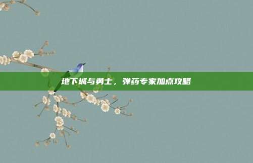 地下城与勇士，弹药专家加点攻略
