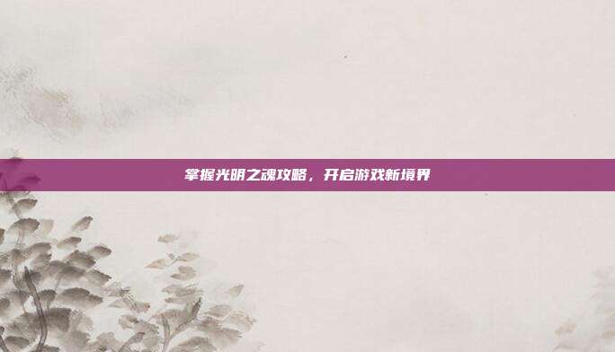 掌握光明之魂攻略，开启游戏新境界