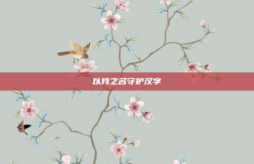 以我之名守护汉字