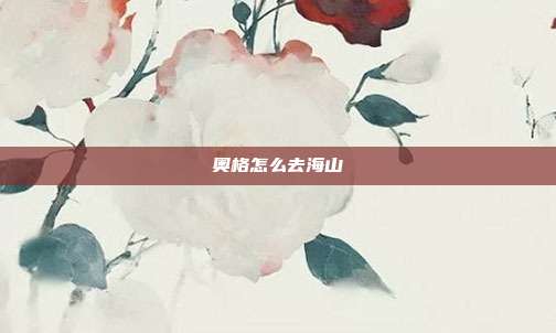 奥格怎么去海山