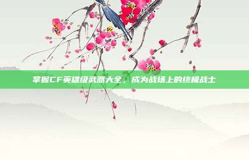 掌握CF英雄级武器大全，成为战场上的终极战士
