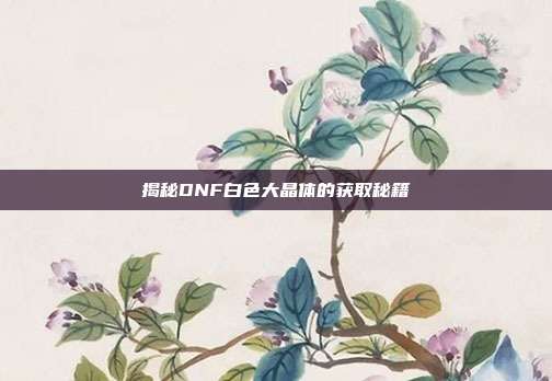 揭秘DNF白色大晶体的获取秘籍