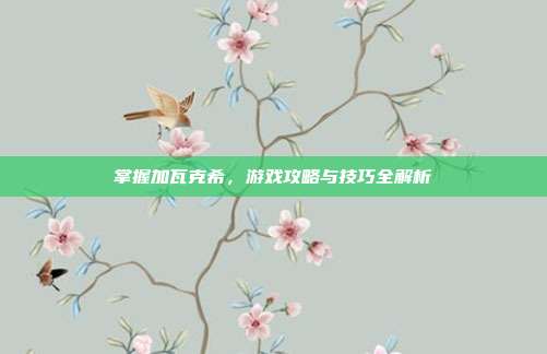 掌握加瓦克希,游戏攻略与技巧全解析