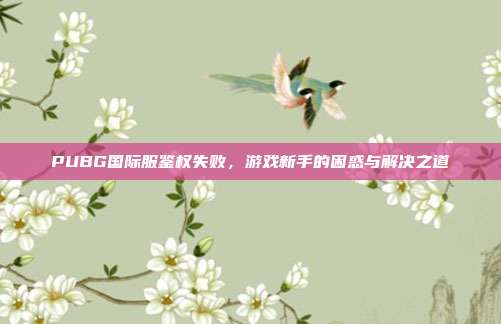 PUBG国际服鉴权失败,游戏新手的困惑与解决之道
