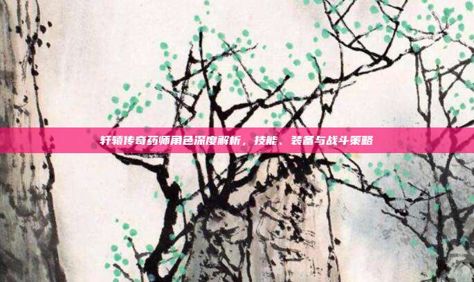 轩辕传奇药师角色深度解析，技能、装备与战斗策略
