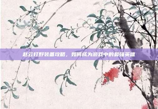赵云打野装备攻略，如何成为游戏中的最强英雄