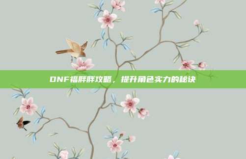 DNF福胖胖攻略，提升角色实力的秘诀