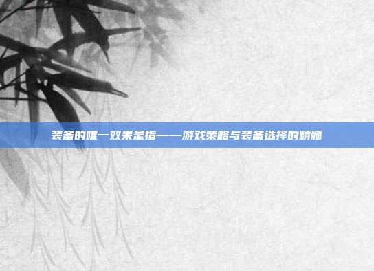 装备的唯一效果是指——游戏策略与装备选择的精髓