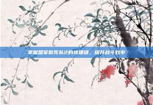 掌握盟军敢死队2的快捷键,提升战斗效率