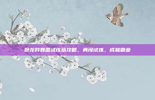 卧龙吟魏国试练塔攻略，勇闯试炼，成就霸业
