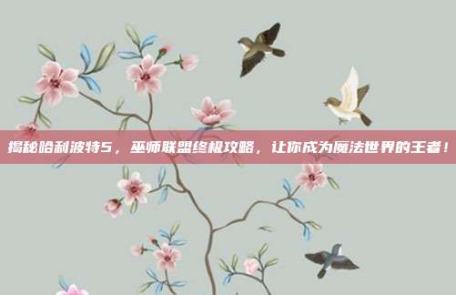 揭秘哈利波特5,巫师联盟终极攻略,让你成为魔法世界的王者!