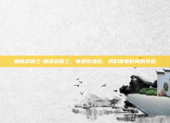 触摸武藤兰-触摸武藤兰，青春散场后，我们都是时间的灰烬
