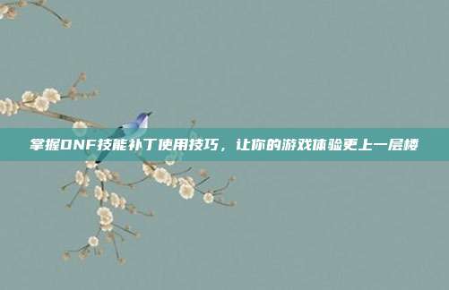掌握DNF技能补丁使用技巧，让你的游戏体验更上一层楼