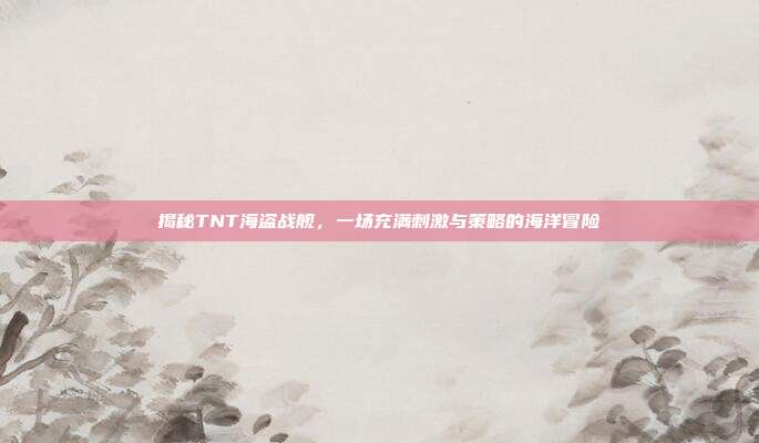 揭秘TNT海盗战舰，一场充满刺激与策略的海洋冒险