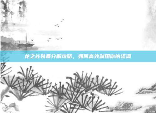 龙之谷装备分解攻略,如何高效利用你的资源