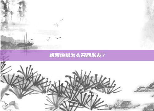 极限追猎怎么召回队友?