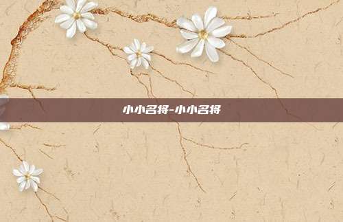 小小名将-小小名将