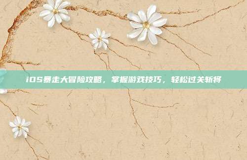 iOS暴走大冒险攻略,掌握游戏技巧,轻松过关斩将