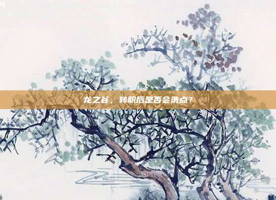 龙之谷,转职后是否会洗点?