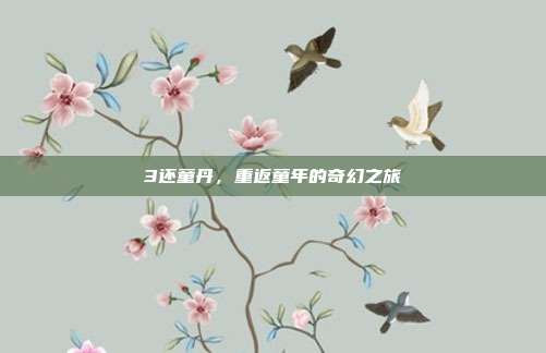 3还童丹,重返童年的奇幻之旅