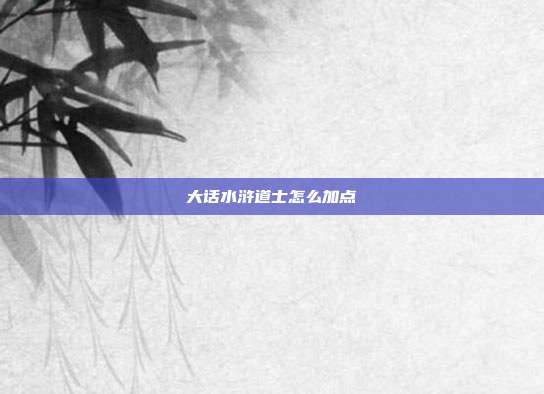 大话水浒道士怎么加点