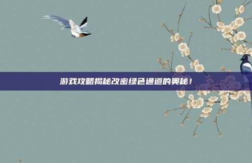 游戏攻略揭秘改密绿色通道的奥秘!