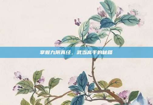 掌握九阴真经，武当高手的秘籍