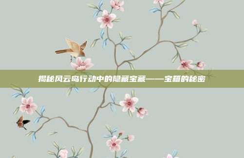 揭秘风云岛行动中的隐藏宝藏——宝箱的秘密