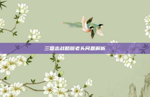 三国志战略版老头问题解析
